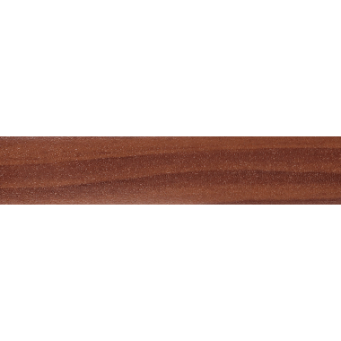 D20/2 ŚLIWKA CIEMNA